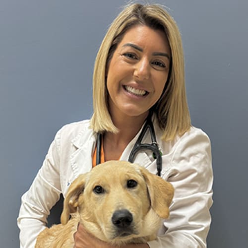 Dr. Nicole Colloca, Oceanside Veterinarian